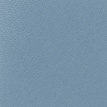 Dusty Blue