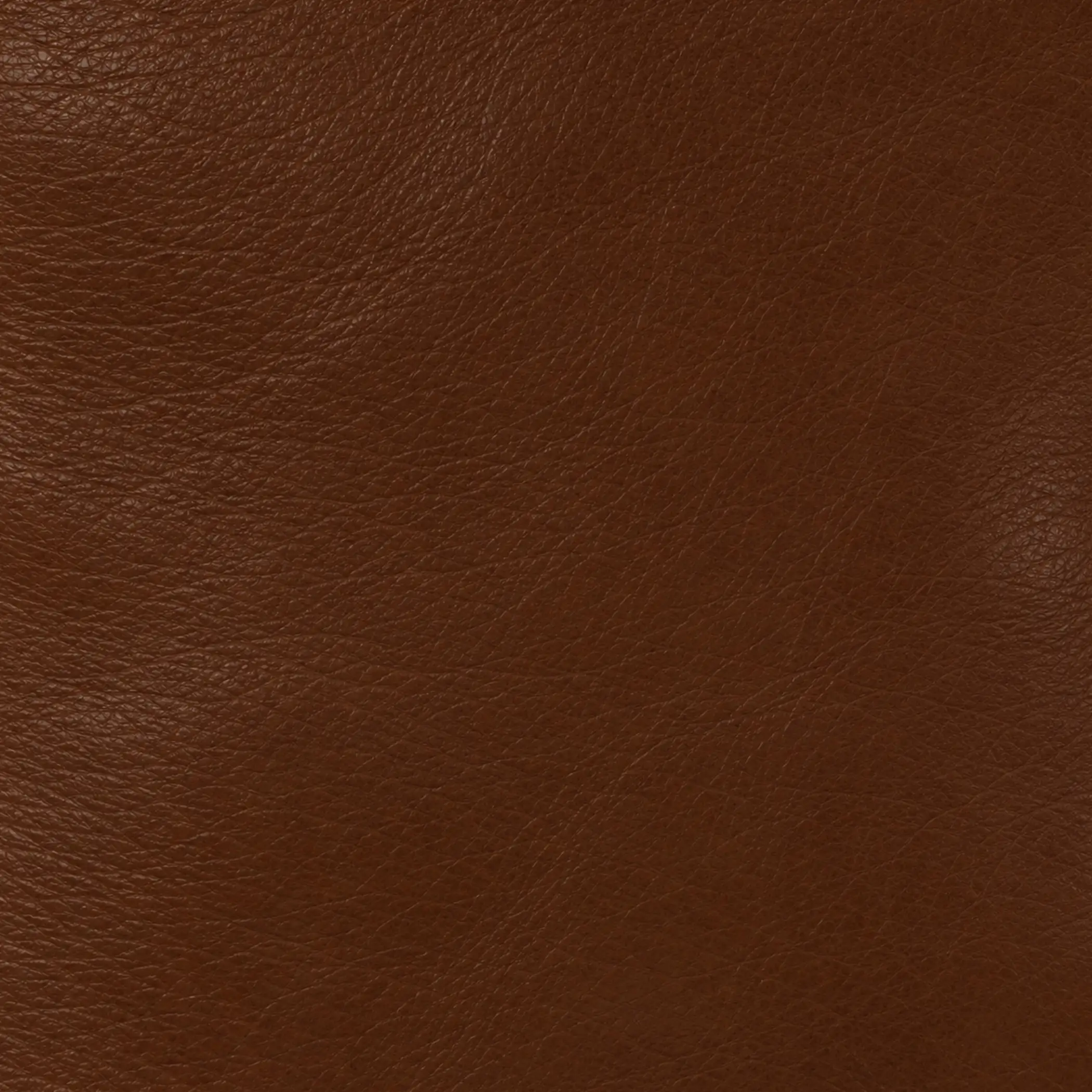 leather-large